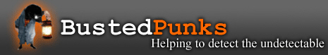 Welcome to BustedPunks.com - the home of the White Light Project
